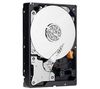 WESTERN DIGITAL Caviar Green 500 GB Hard Drive - 32 MB - SATA