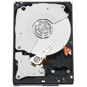 Western Digital Corporation Western Digital WD1003FBYX 1 TB Internal Hard