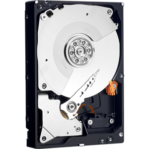 Western Digital Corporation Western Digital WD2503ABYX 250 GB Internal Hard