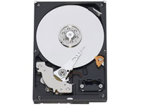 WESTERN DIGITAL WD AV-GP WD10EVVS