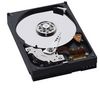 WESTERN DIGITAL WD Caviar Blue 3.5` Hard Drive - 750 GB - 7,200