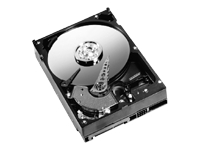 WD Caviar Blue WD2500AAJS - hard drive - 250 GB - SATA-300