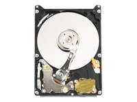 WD Scorpio Blue WD3200BEVE - hard drive - 320 GB - ATA-100