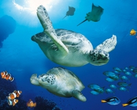 SEA LIFE Park & Marine Sanctuary -