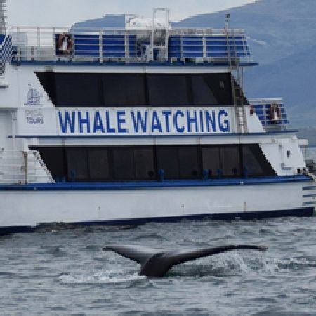 Whale Watching Reykjavik - Child with Hotel