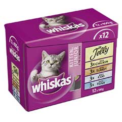 Singles Multipack Kitten