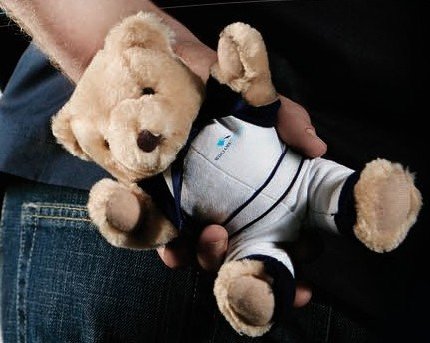 Williams F1 2006 Williams F1 Teddy