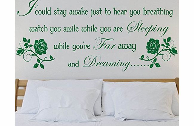 Windsor Designers Aerosmith Lyrics , wall sticker, decal, quote, Transfer, Bedroom, mural, new design! -MEDIUM -SIZE 90cm x 45cm -Forest