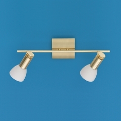 Don Matt Brass Ceiling Light with 2 Spots