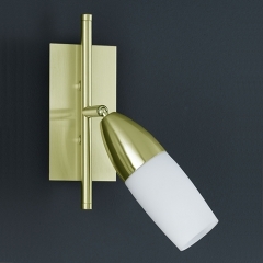 New Jersey Low Energy Brass Wall Light