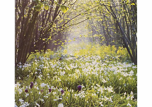 Sissinghurst Castle Greeting Card