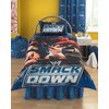 wwe Smackdown Bean Bag