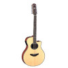 APX700 12 String Natural