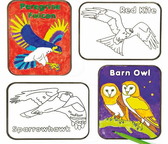 Birds of Prey Colour-in Window Decorations -