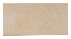 Beige Wall and Floor Tile (30x60cm)