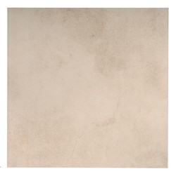 Beige Wall and Floor Tile (60X60)