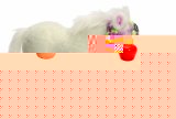 Zapf Creation Baby Born Foal with Function