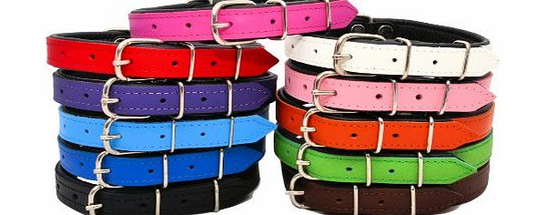 ZOOLESZCZ REAL LEATHER DOG COLLAR BLACK PADDED (BLUE, 17`` 1.6cmx 44cm)